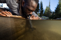 sklep pływaclki aqua-swim.pl LIFESTRAW PEAK Turystyczny Filtr Wody 4000L Słomka 6